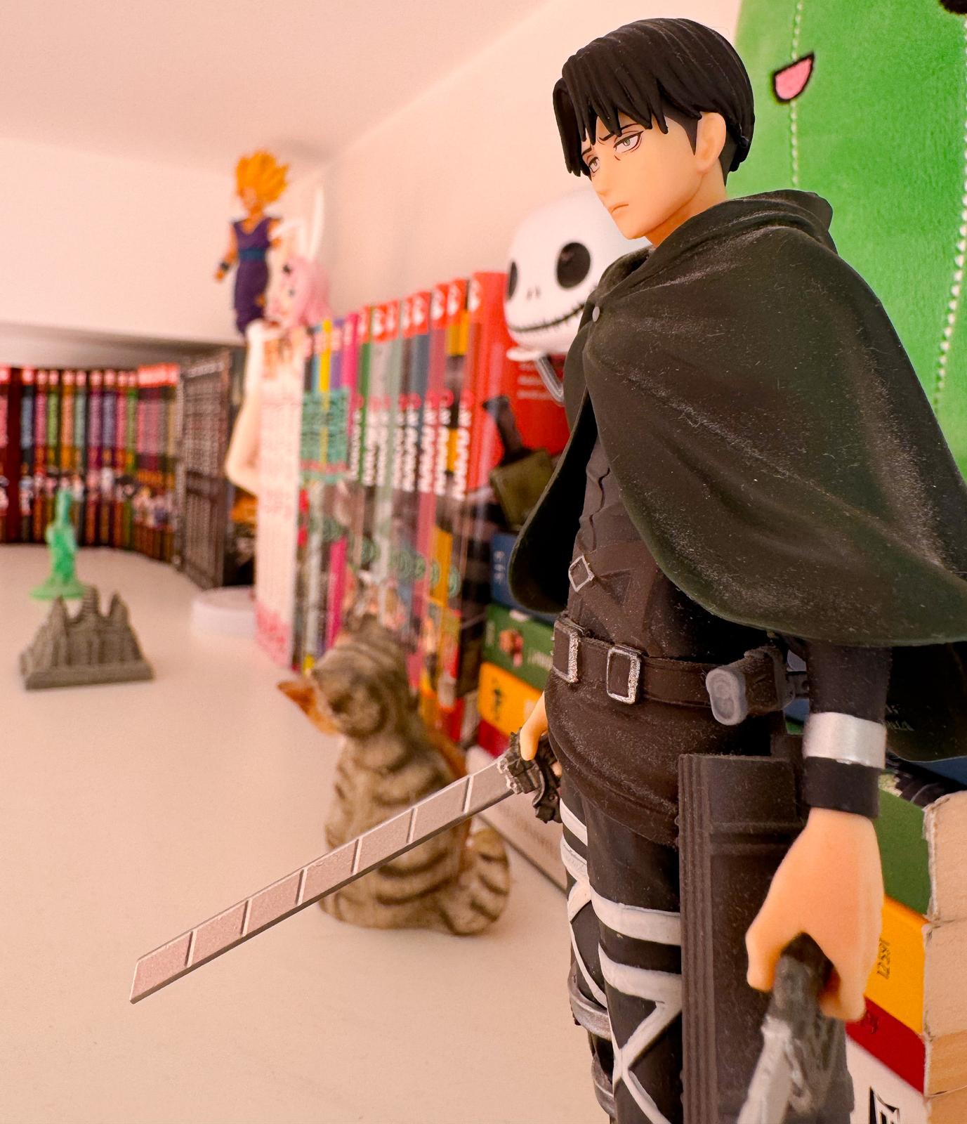 Bibliothèque manga chambre cosy