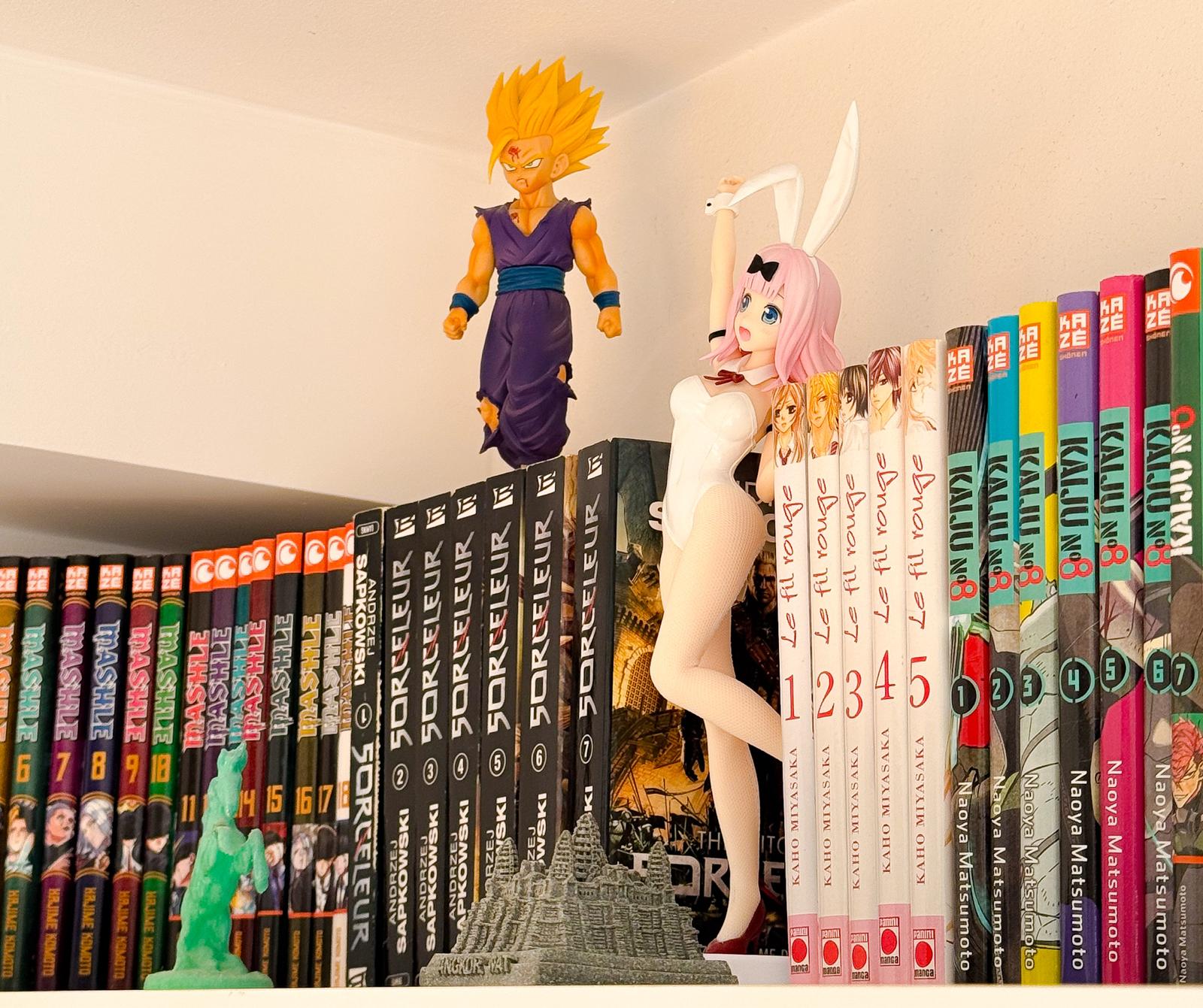 Bibliothèque manga chambre cosy